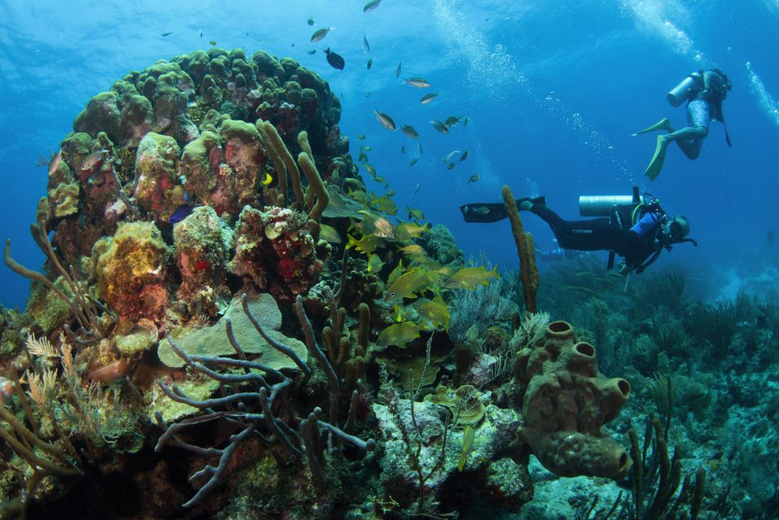 Diving in Colombia