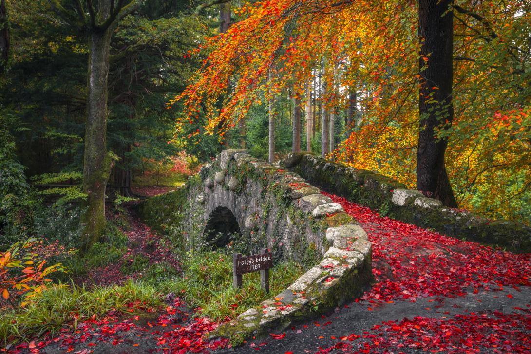 Foley's Bridge at Tollymore Forest Park in County Down