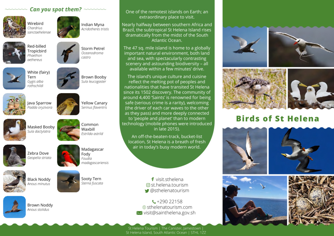 Birds_of_St_Helena_Brochure61PDF_MDesign.png