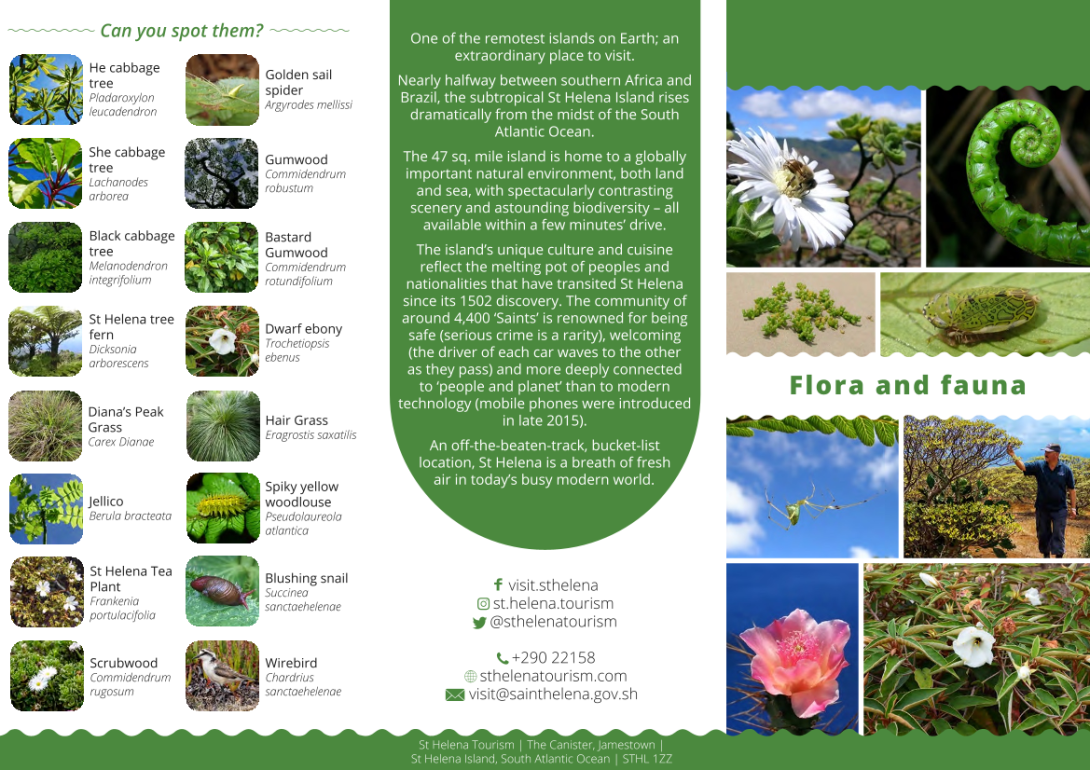 Flora_and_Fauna_Brochure61PDF_MDesign.png