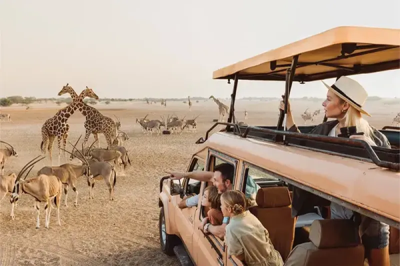ad 4x4
