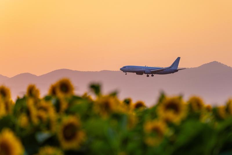 Aircraft coming into land
