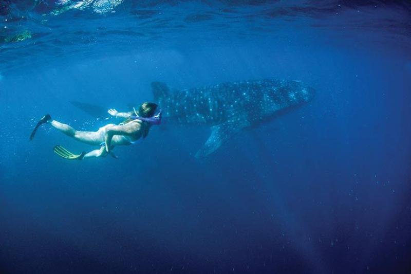 Ningaloo Coast