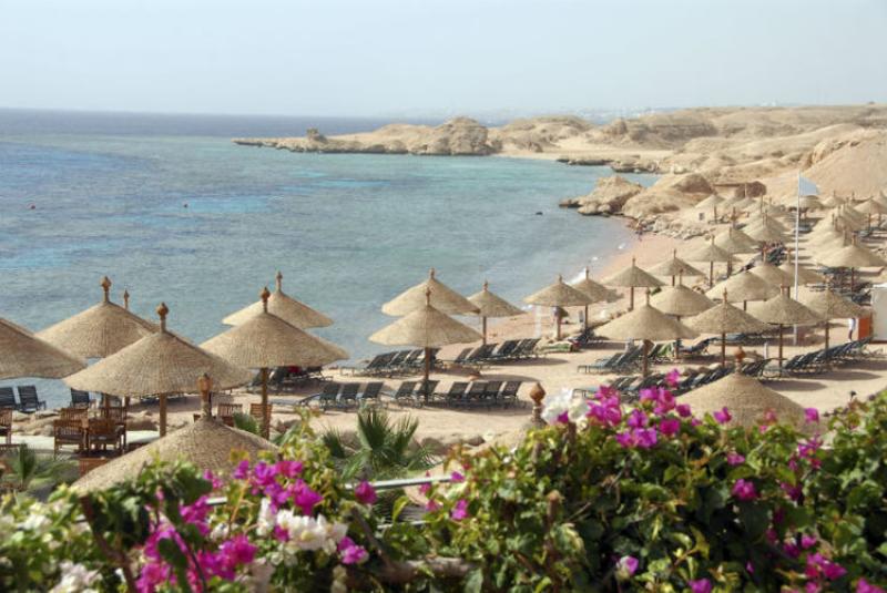 Travel 2 has returned to Sharm and will watch consumer demand heading into January