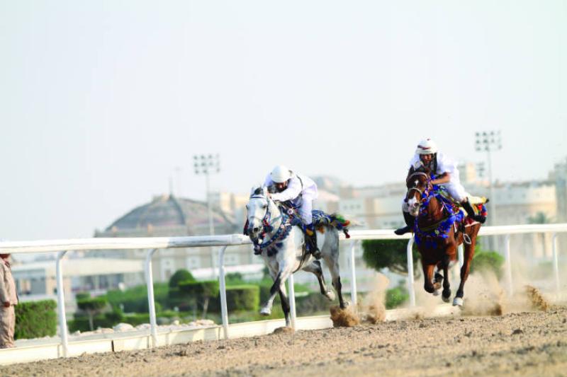 Qatar for sports fans