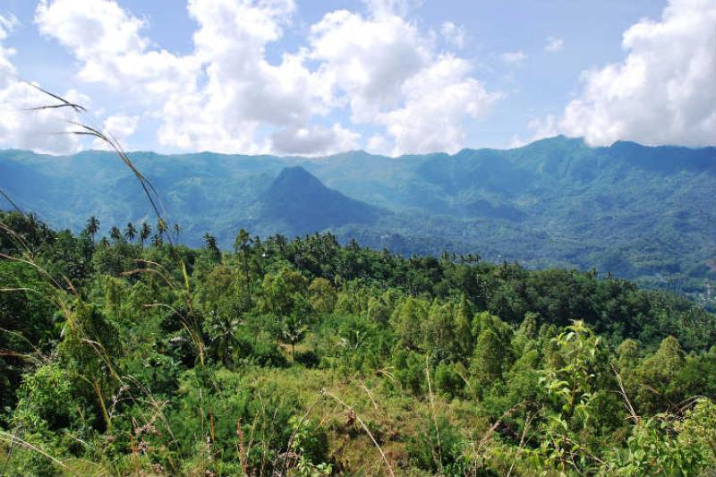 Flores, Indonesia