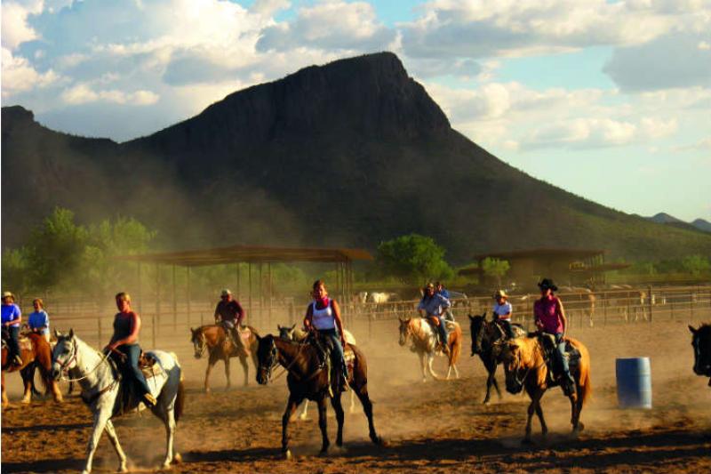Horse riding 