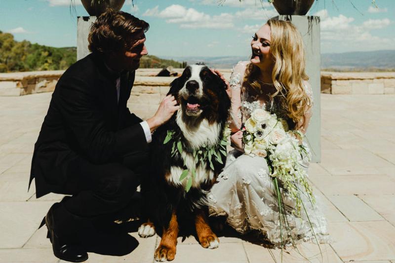 The pet pooch stand-in
