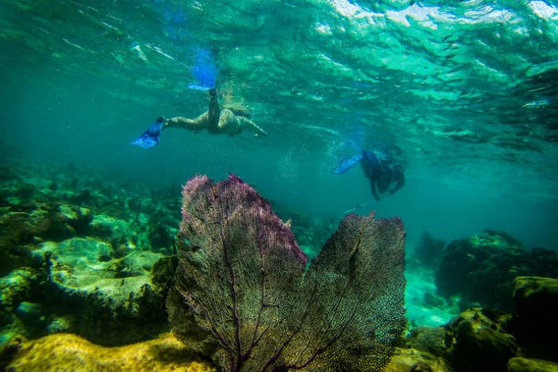 Belize does not currently have a direct flight from the UK (Image credit: Armando Lulu) 