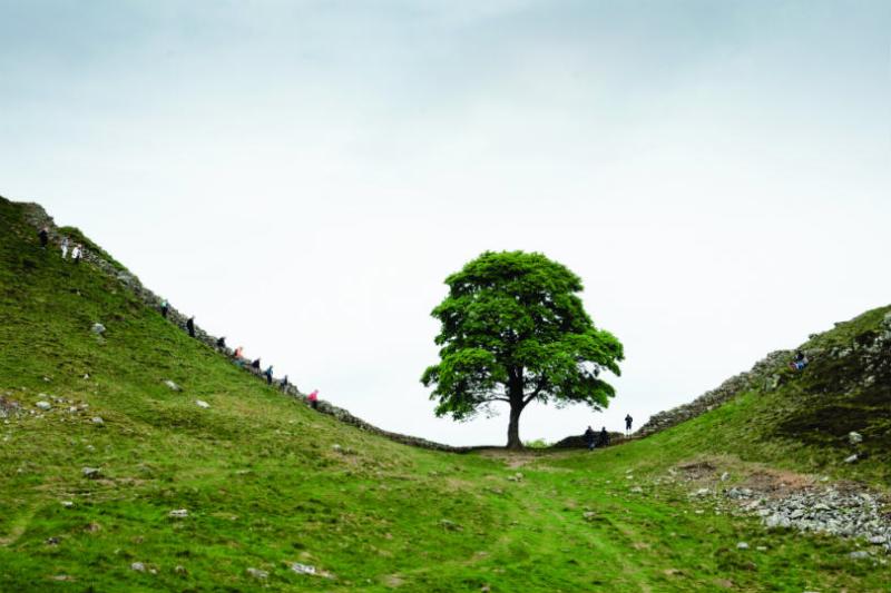 Wilderness Scotland is offering its first tour outside Scotland, in Northumberland