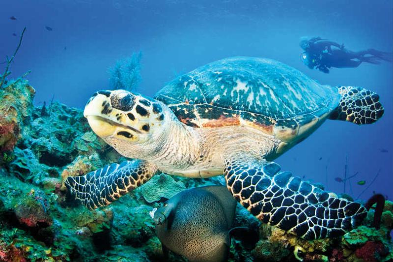 Climate change is a challenge for the Caribbean