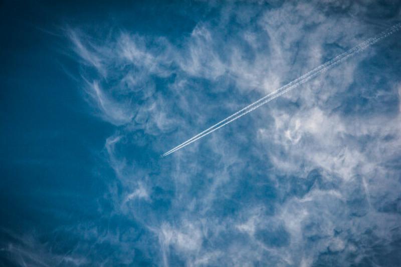 MPs think more may need to be done to curb emissions (Pic: Unsplash)