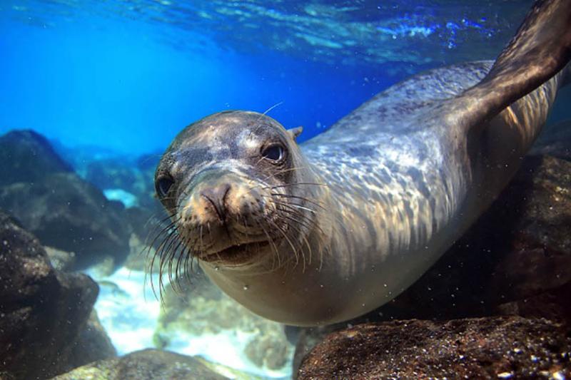 Galapagos Islands, Ecuador