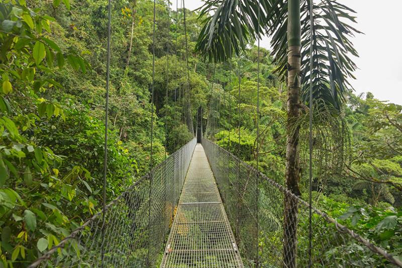 Cloud Forest, Costa Rica