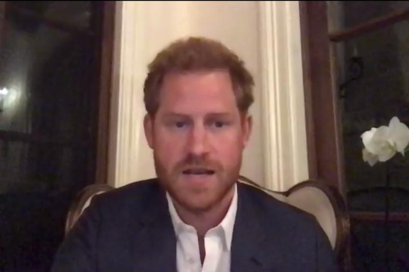 The Duke of Sussex urged travel businesses to “reshape” the sector post-Covid