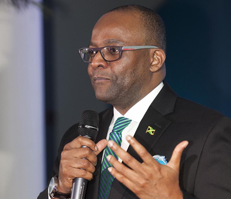 Q&A: Donovan White, director of Jamaica tourism