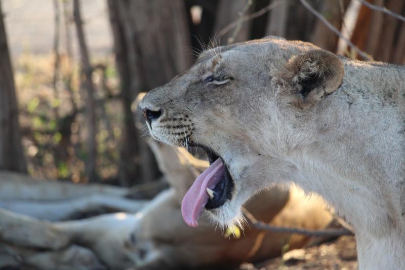 'My time in Africa gave me confidence in the positivity of tourism'