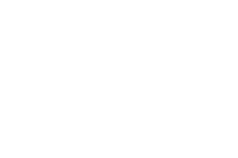 The VISIT FLORIDA Ray of Sunshine Award