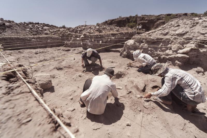 An archaeological dig in Egypt is also included in Field Trip's experiences