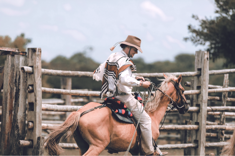 Pupils can learn the culture of the Llaneros cowboys in Colombia