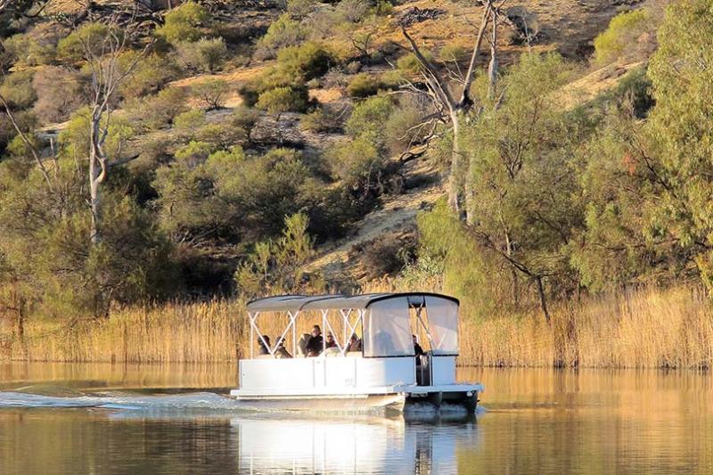 AUSTRALIAN WILDLIFE JOURNEYS