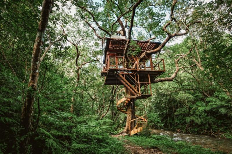 Japan's Treeful Treehouse features among sustainable accommodations explored