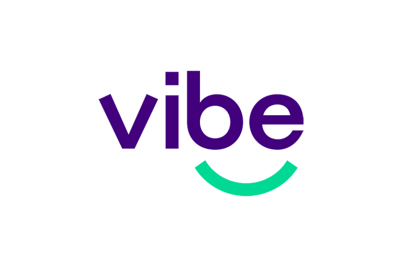 Vibe Systems logo