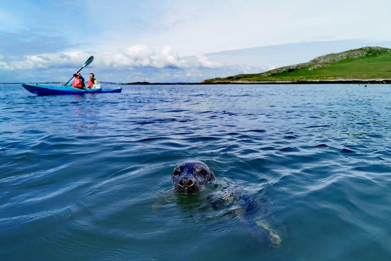2. EXPLORING IRELAND’S EYE