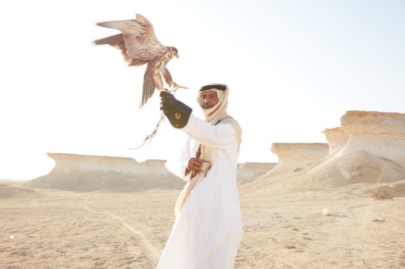 Discover how falcons are key to Qatar's sporting heritage