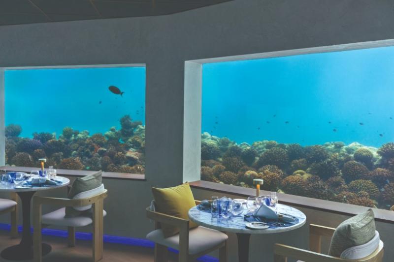 Eat with the fishes