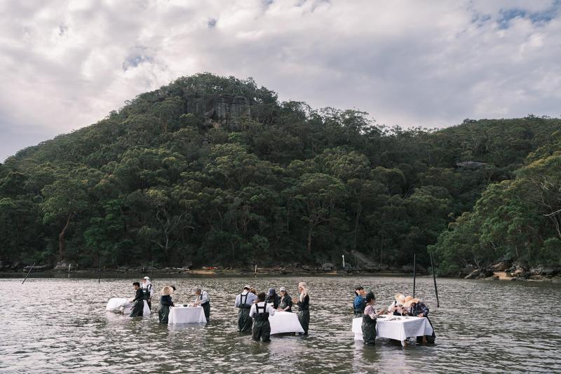 Sydney Oyster Tours