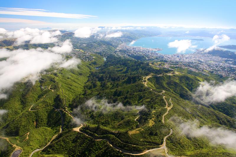 Wild encounters in New Zealand