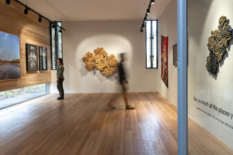Gallery at Singita Kruger National Park web