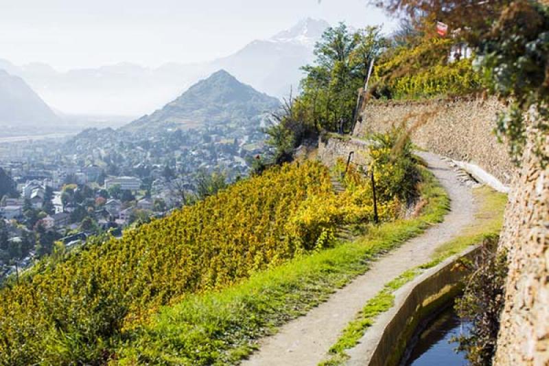 Explore the Valais' wine-growing regions. Credit: ©Valais/Wallis Promotion - Pascal Gertschen