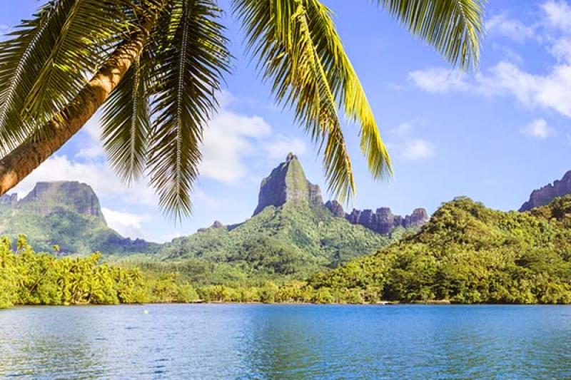 Opunohu Bay on the island of Moorea in Tahiti