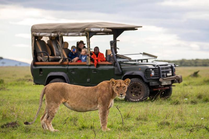 Family safaris