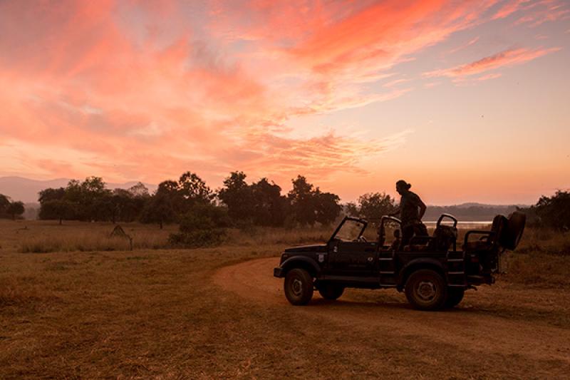 India is one of Wildfoot's key destinations. Credit:Varun Mathur