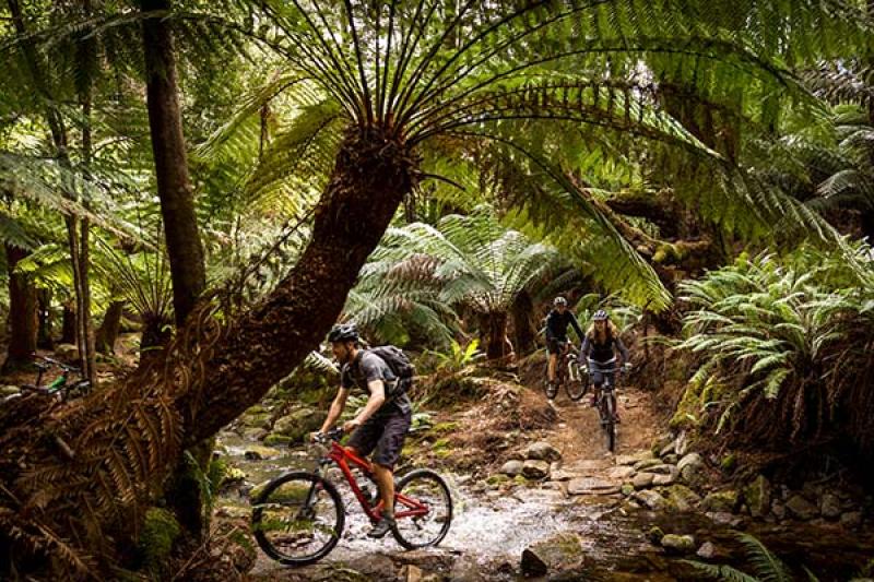 9. Two days on two wheels