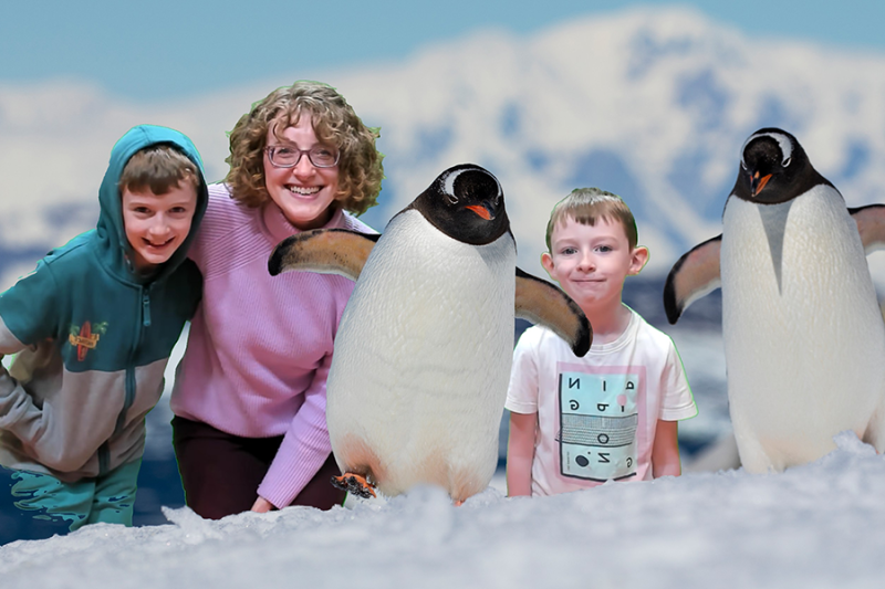 BBC Earth Experience