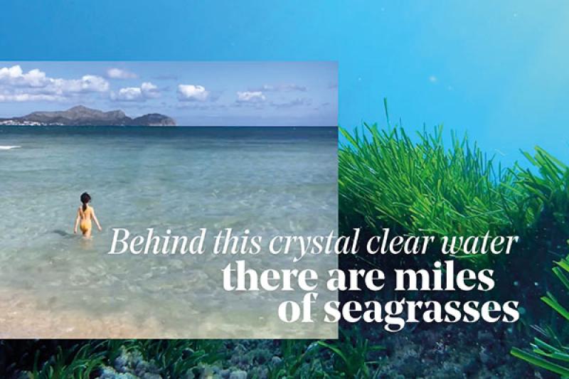 Iberostar provides agents with videos to help promote sustainable travel to clients