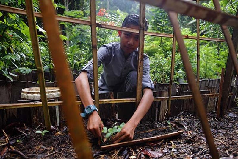 Tending to a garden as part of the Datai Pledge 