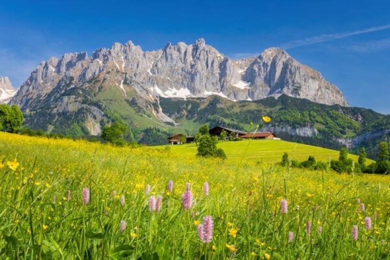The Tyrol