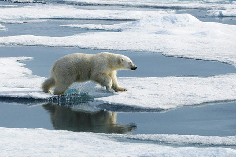 EXPEDITIONS 