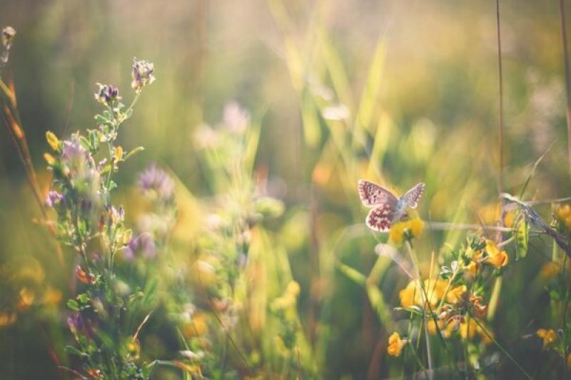 Determine your sustainability narrative – your staff and customers will love it