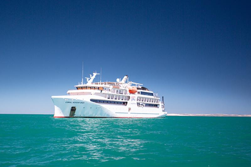 Coral Expeditions