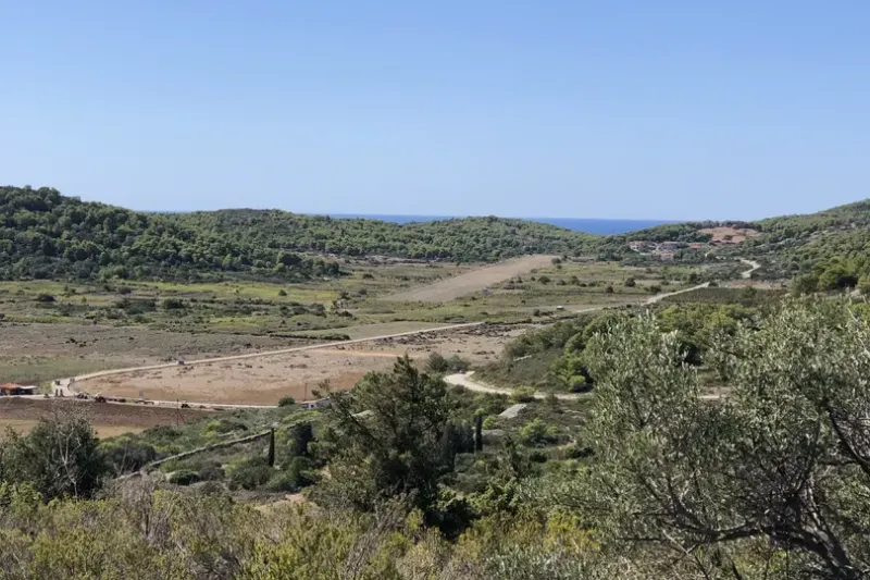 Vis