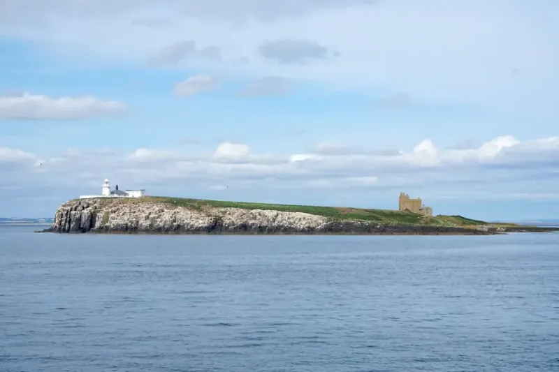 Inner Farne