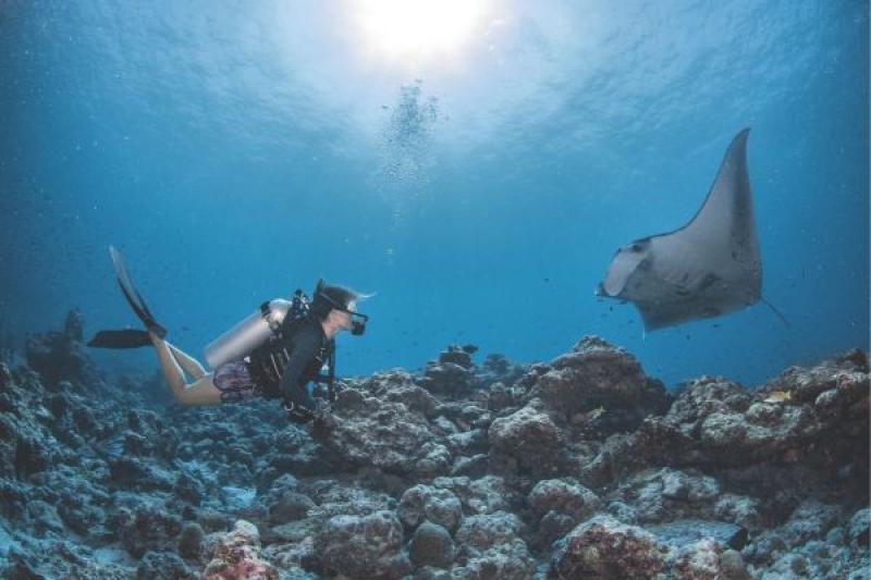 Snorkelling at InterContinental Maldives Maamunagau Resort 