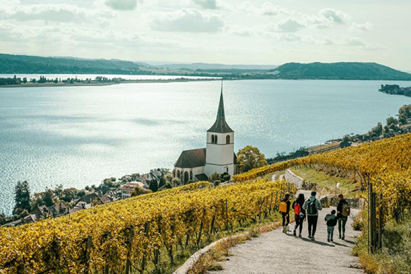 4. Vineyard tours