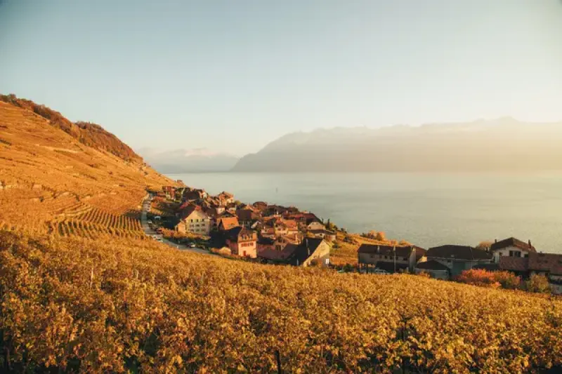 The Lavaux